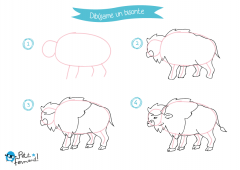 aprende a dibujar un bisonte paso a paso