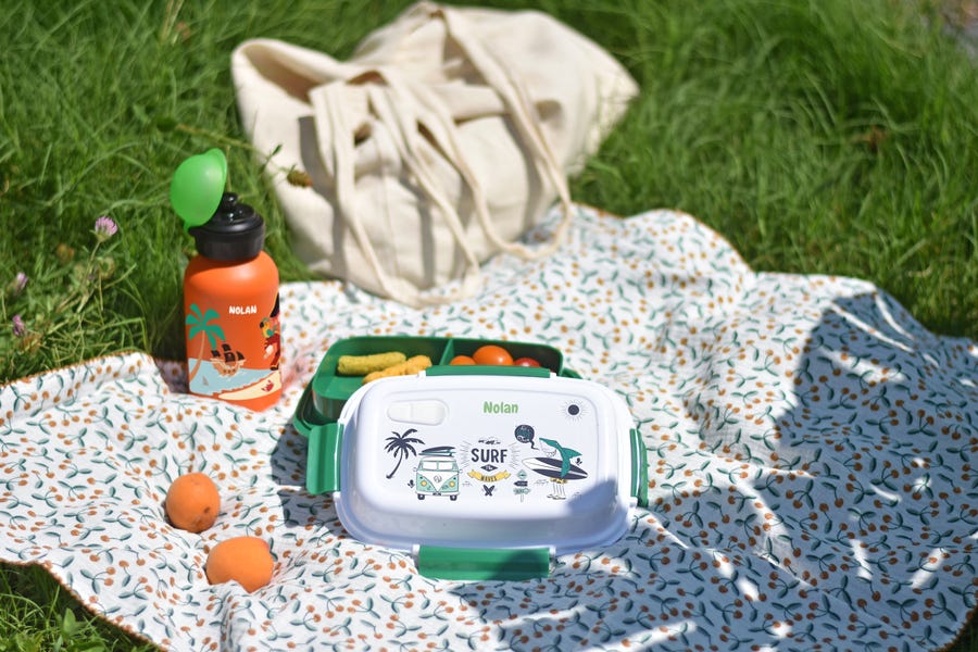 consejos picnic